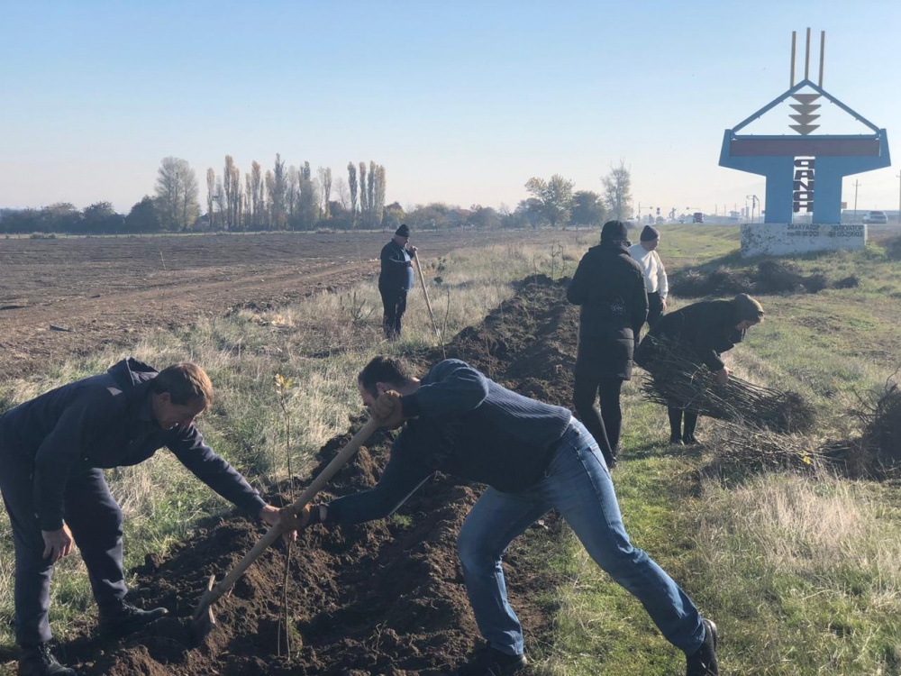 Зеленые километры Хасавюртовского района обросли  еще 5 тысячью  саженцев деревьев.