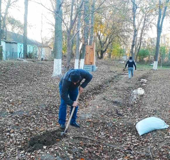 Волонтеры леса провели озеленение  в селении Ичичали Хасавюртовского района