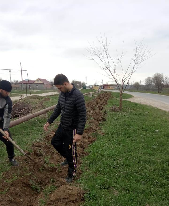 В рамках Международной акции « Сад памяти» в Хасавюртовском районе провели очередную посадку саженцев деревьев