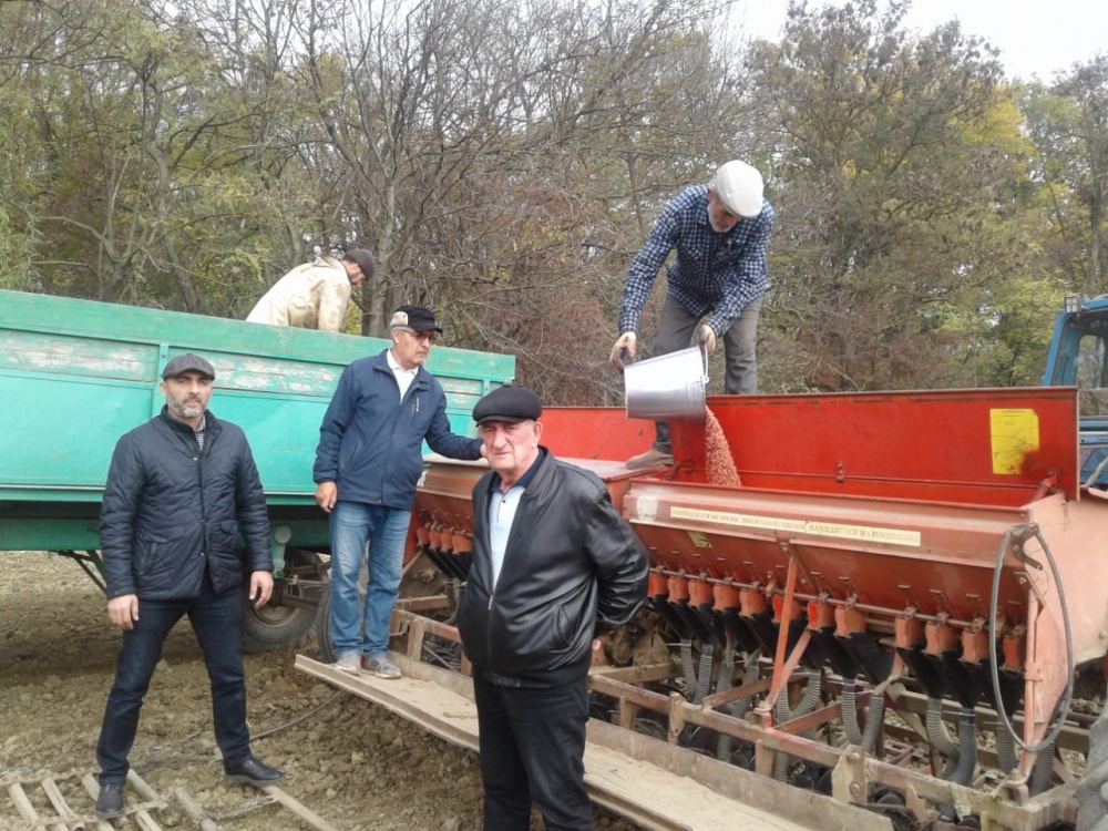 В Хасавюртовском районе завершается посев озимых зерновых культур