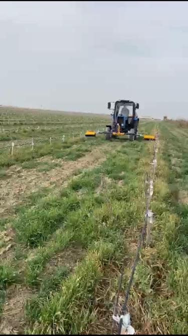 В Хасавюртовском районе в разгаре полевые работы в садах