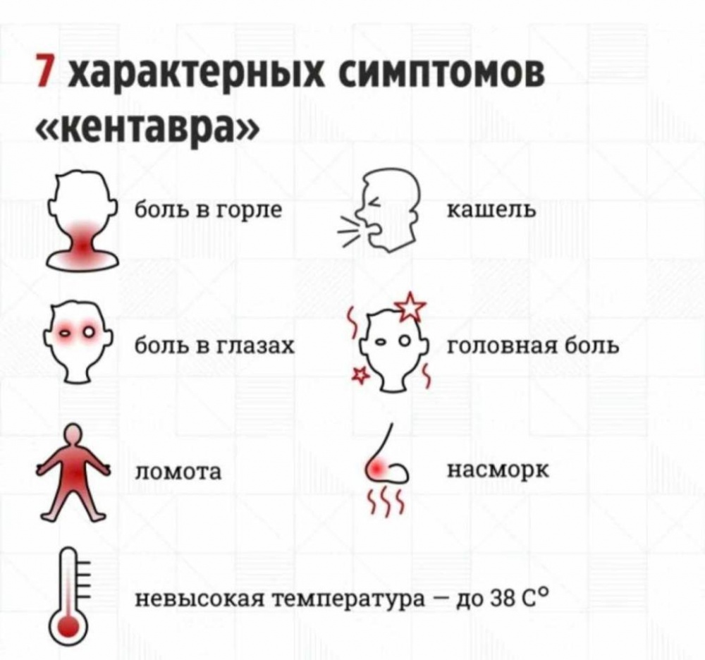 7 симптомов «кентавра —  как опознать новый вид омикрона