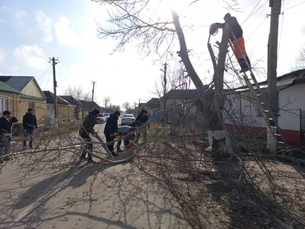 В селениях Сулевкент и Костек  Хасавюртовского районе провели  субботник по благоустройству территории и обрезке деревьев на  проблемных участках