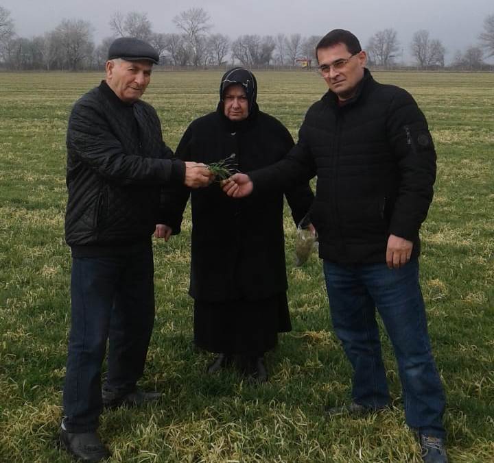 На полях Хасавюртовского района провели обследование состояние посевов озимых культур