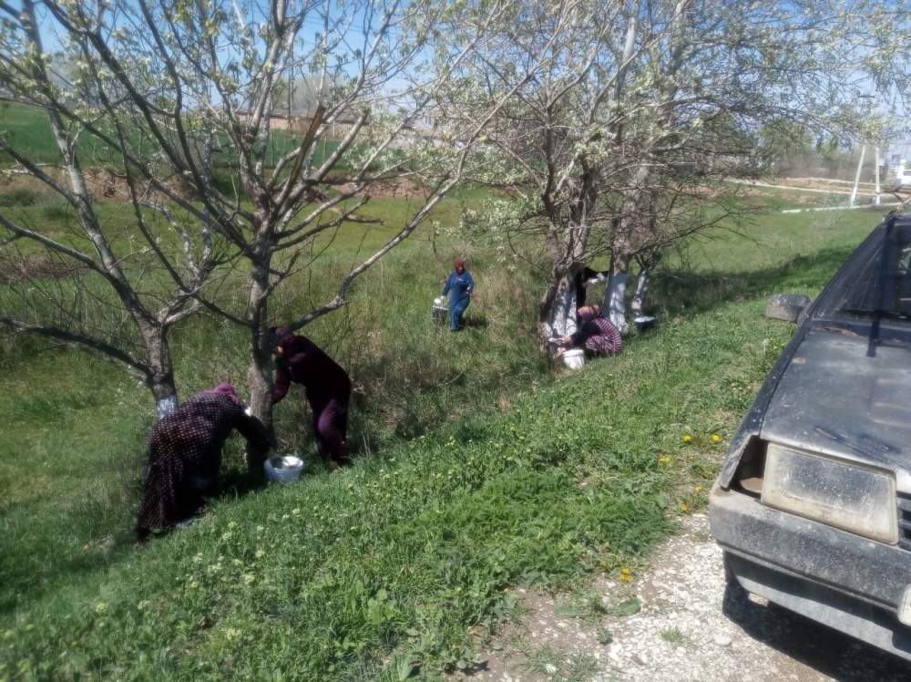 В поселениях Хасавюртовского района продолжаются   весенние санитарно – экологические субботники