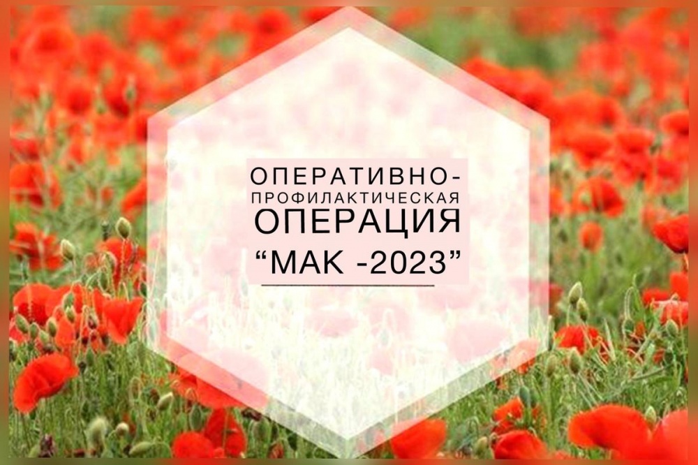 Внимание — Операция «Мак-2023» третий этап!