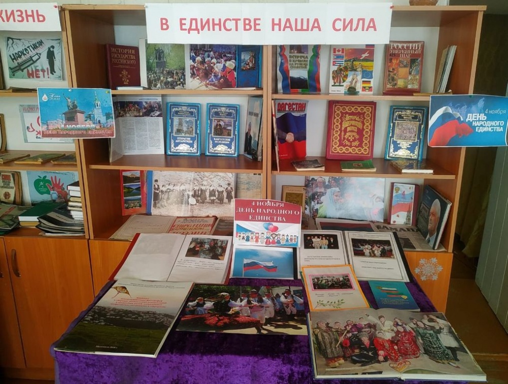 В школах учреждениях культуры и библиотечной системы Хасавюртовского района проходят праздничные мероприятия ко Дню народного единства