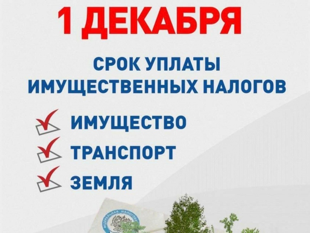 1 декабря – единый срок уплаты имущественных налогов