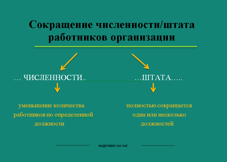 Порядок проведения сокращения численности или штата работников организации, индивидуального предпринимателя.
