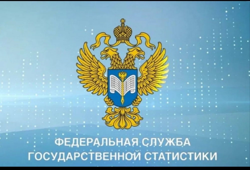 В Дагестане проводится  Выборочное наблюдение доходов населения и участие в социальных программах (ВНДН).