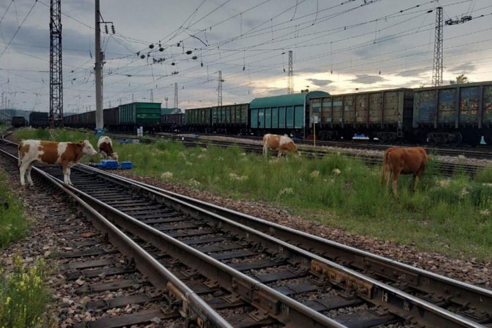 Комиссия по Обеспечению безопасности дорожного движения в МО «Хасавюртовский район» информирует.