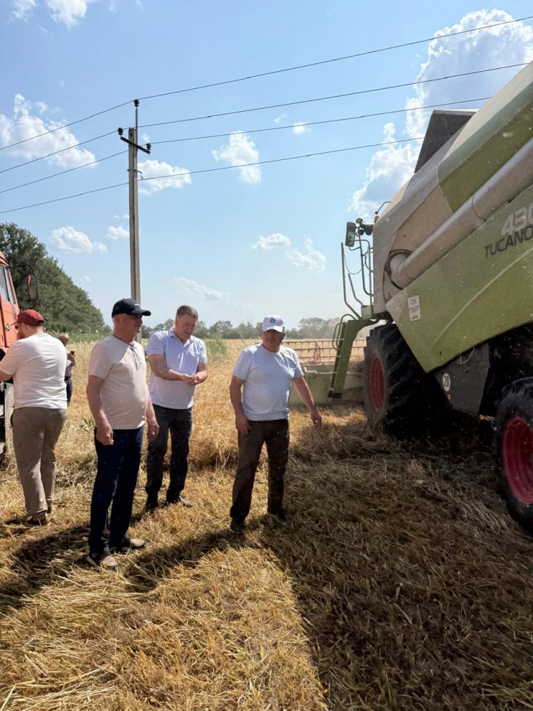 Хлеборобы Хасавюртовского района первыми  в республике приступили к уборке озимых зерновых
