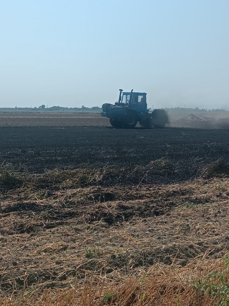 На полях Хасавюртовского района идет  комплекс полевых работ