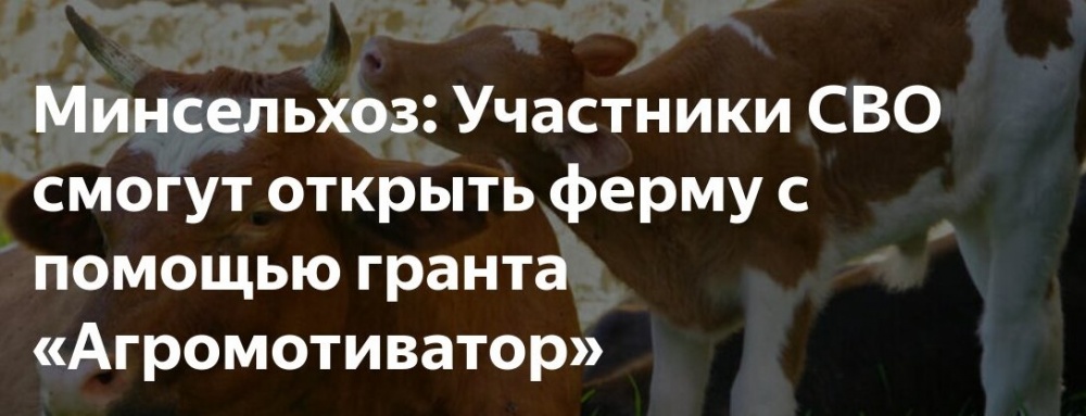 Грант «Агромотиватор»: поддержка участников и ветеранов СВО в сфере АПК Дагестана